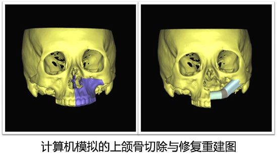 图片1_副本.jpg